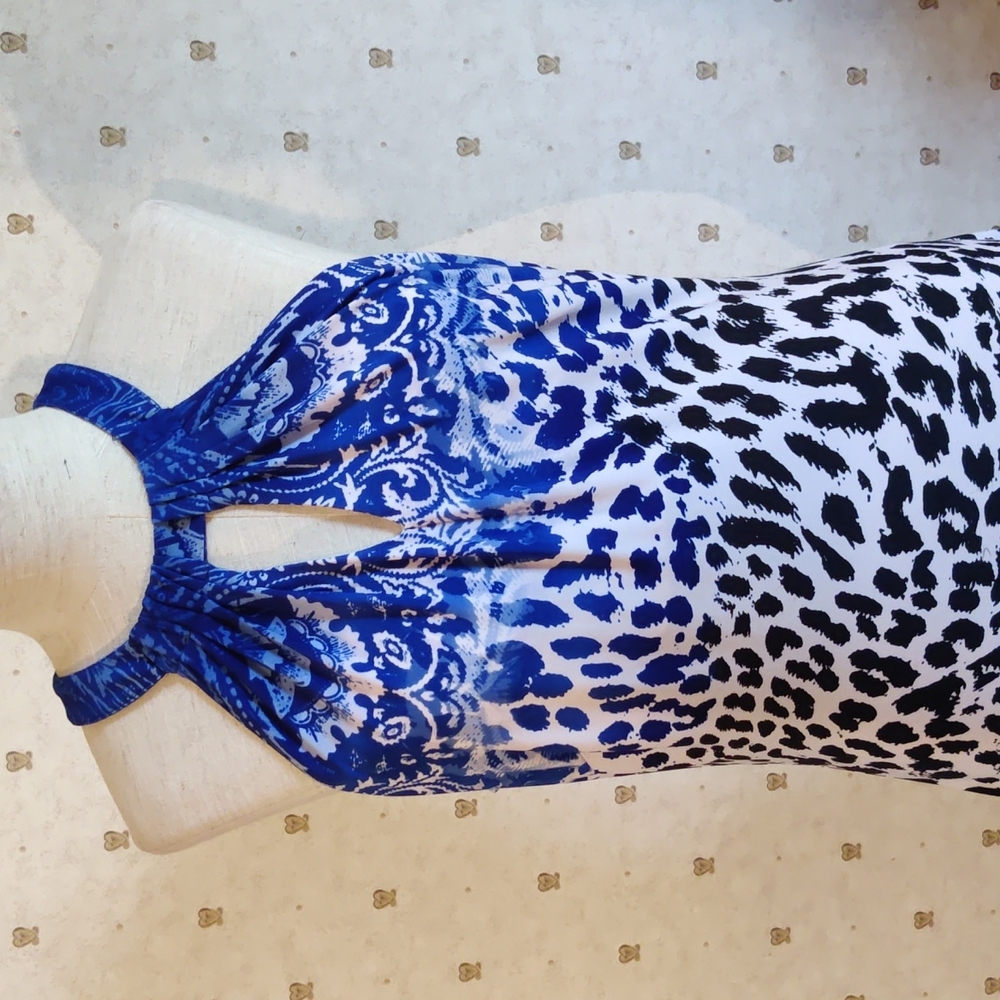 Cache Maxi Dress Size Medium